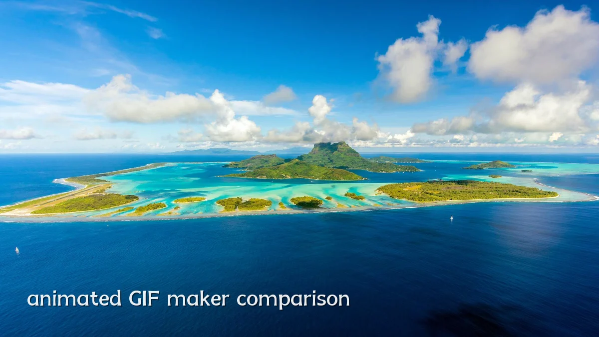animated GIF maker comparison