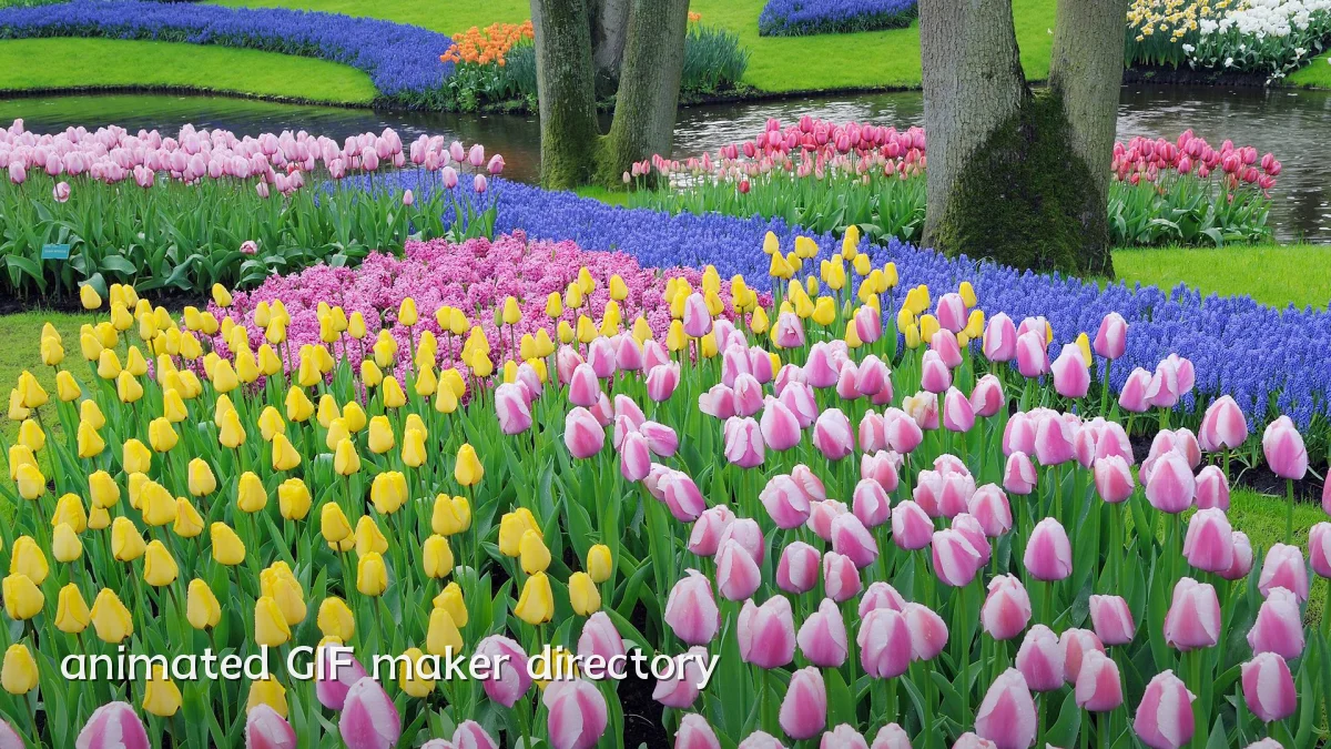 animated GIF maker directory