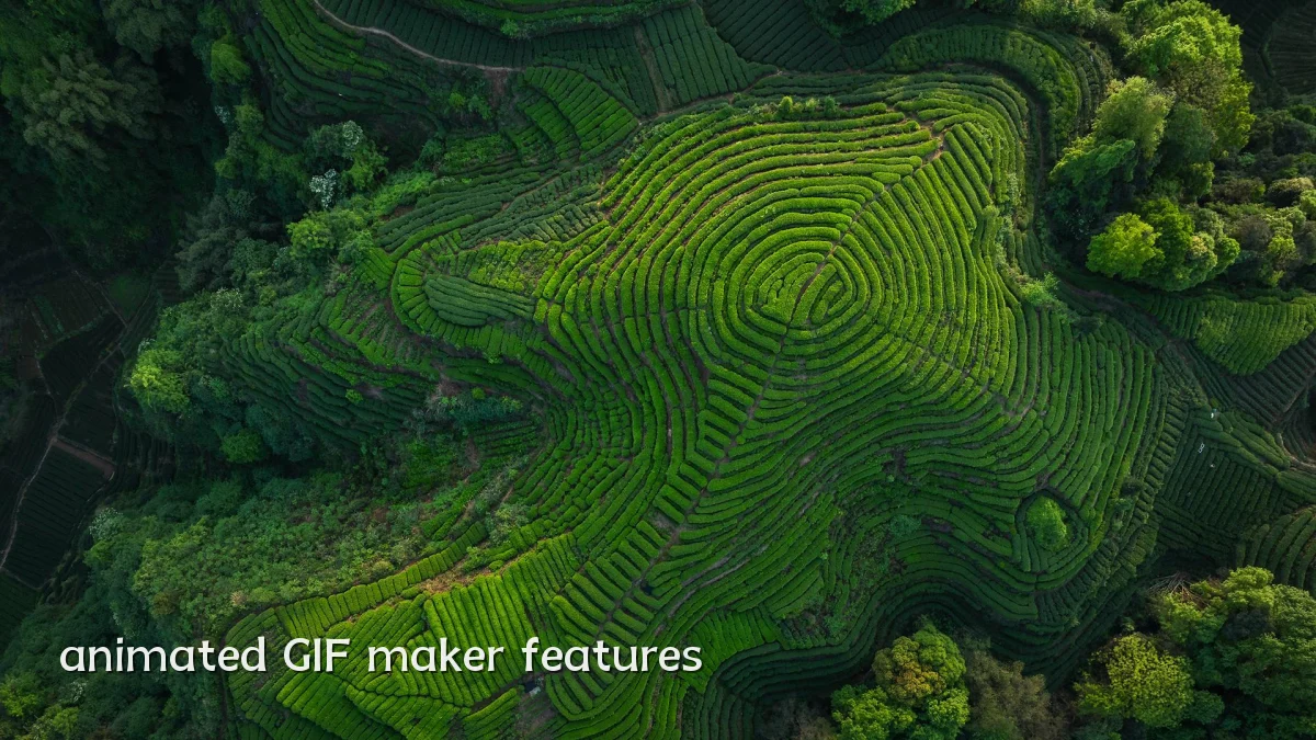 animated GIF maker features