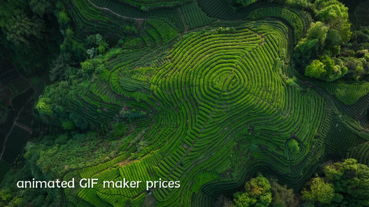animated GIF maker prices