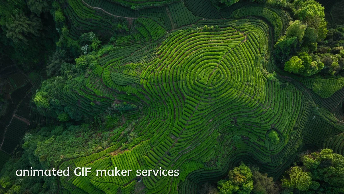 animated GIF maker services