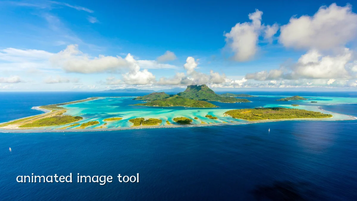 animated image tool