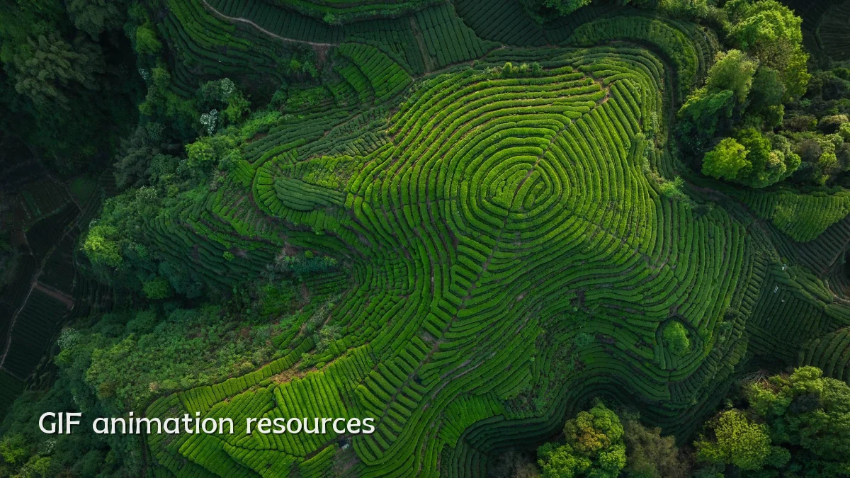 GIF animation resources