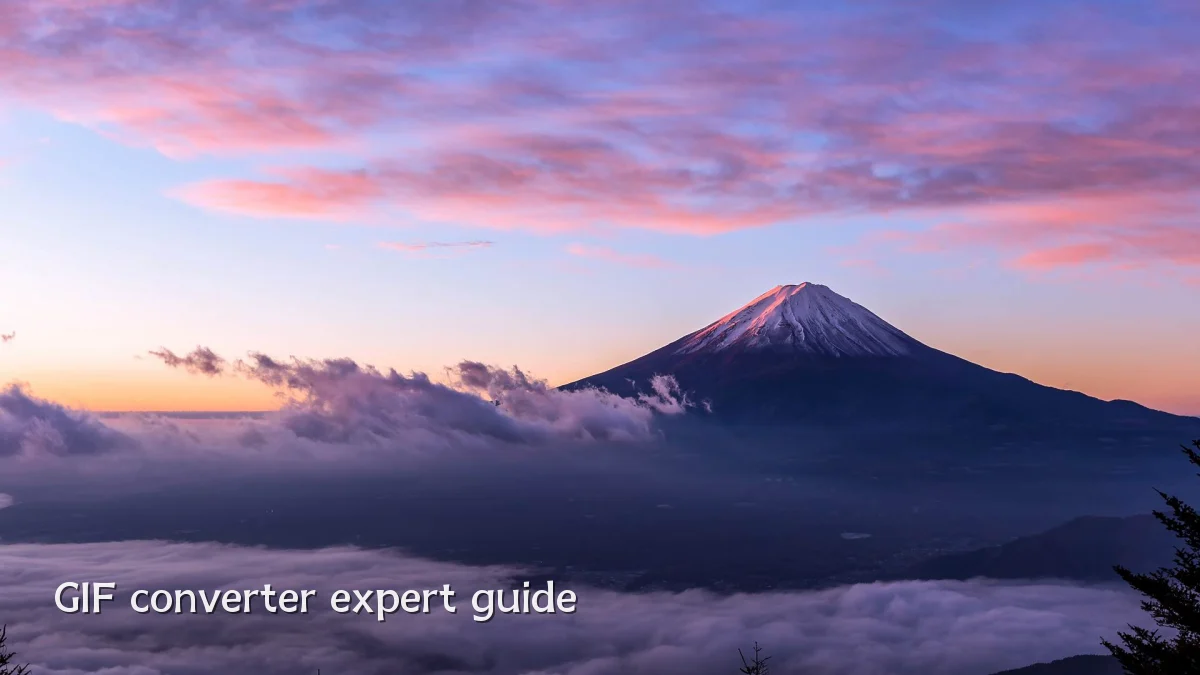 GIF converter expert guide