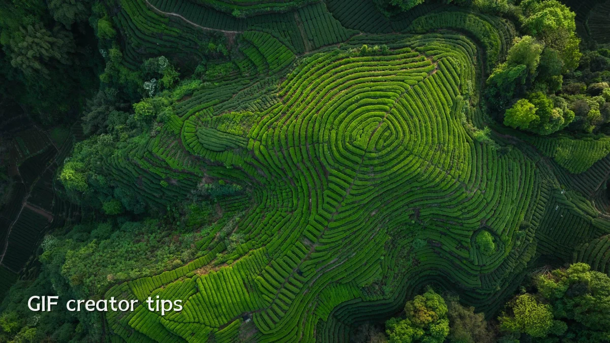 GIF creator tips