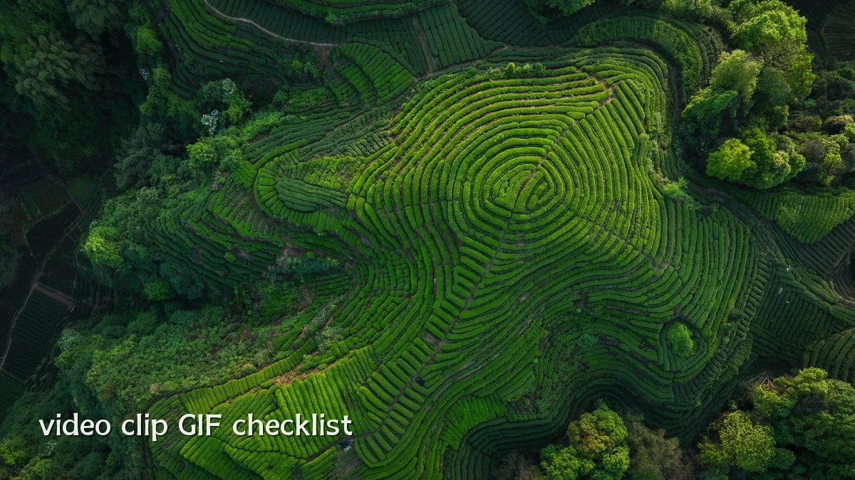 video clip GIF checklist