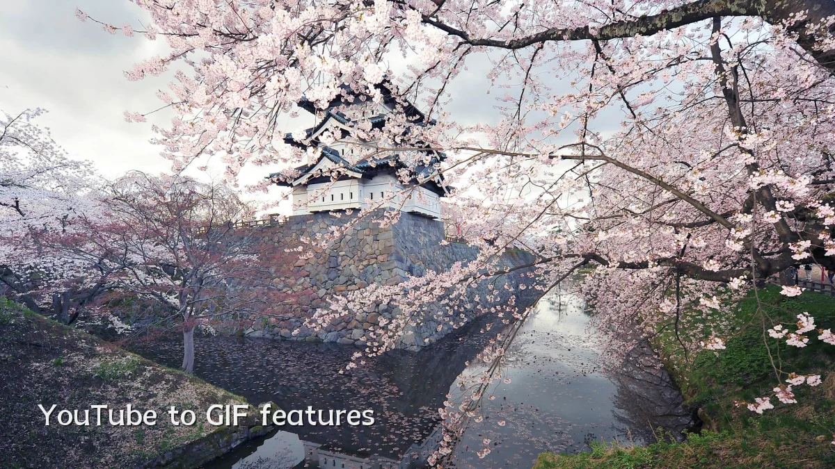 YouTube to GIF features