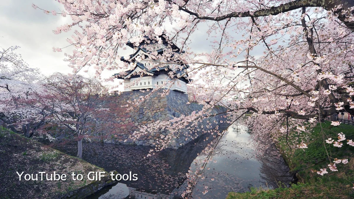 YouTube to GIF tools