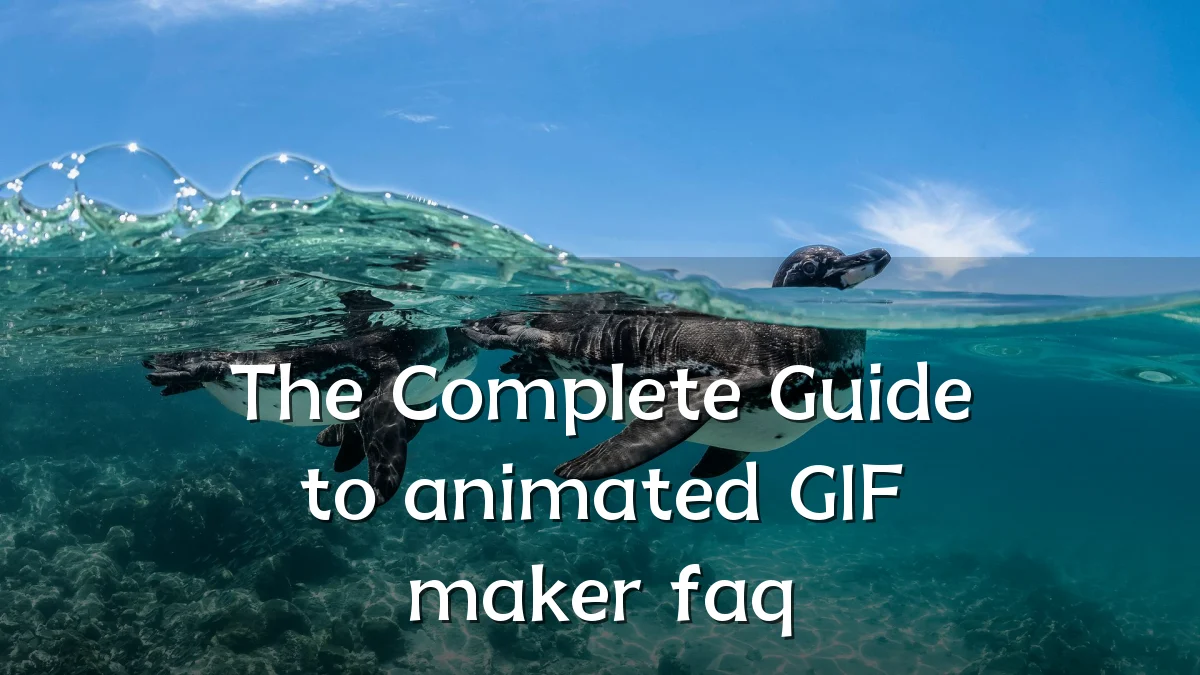 The Complete Guide to animated GIF maker faq