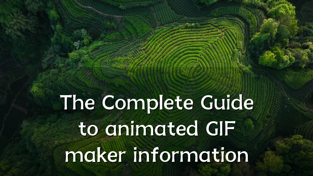 The Complete Guide to animated GIF maker information