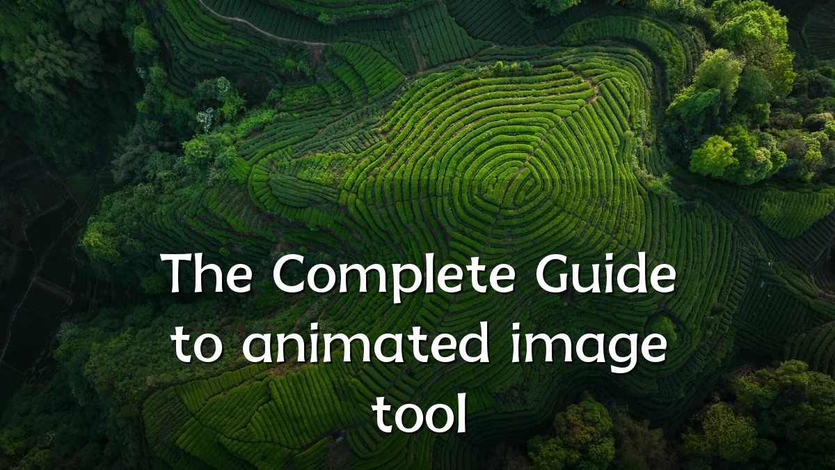 The Complete Guide to animated image tool