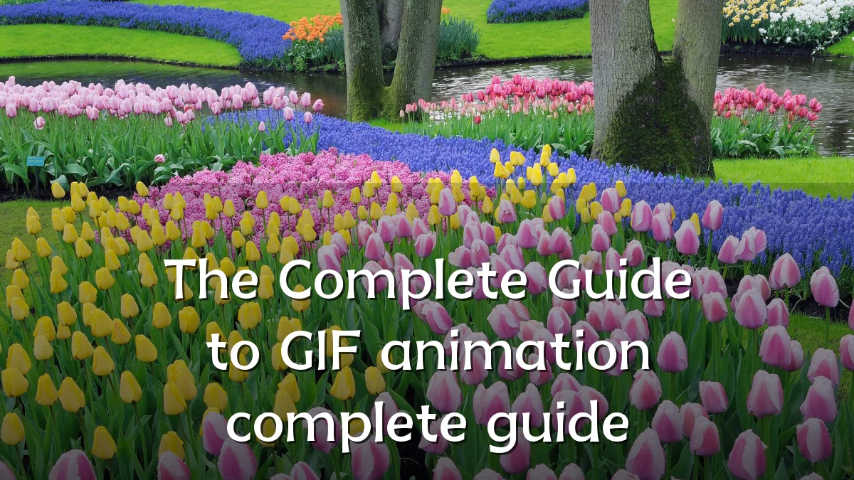 The Complete Guide to GIF animation complete guide