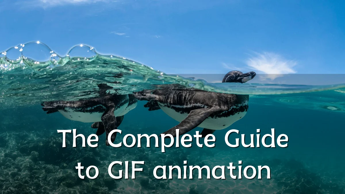 The Complete Guide to GIF animation