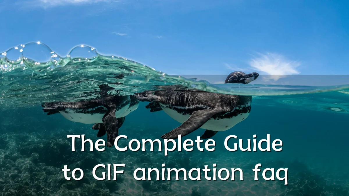 The Complete Guide to GIF animation faq