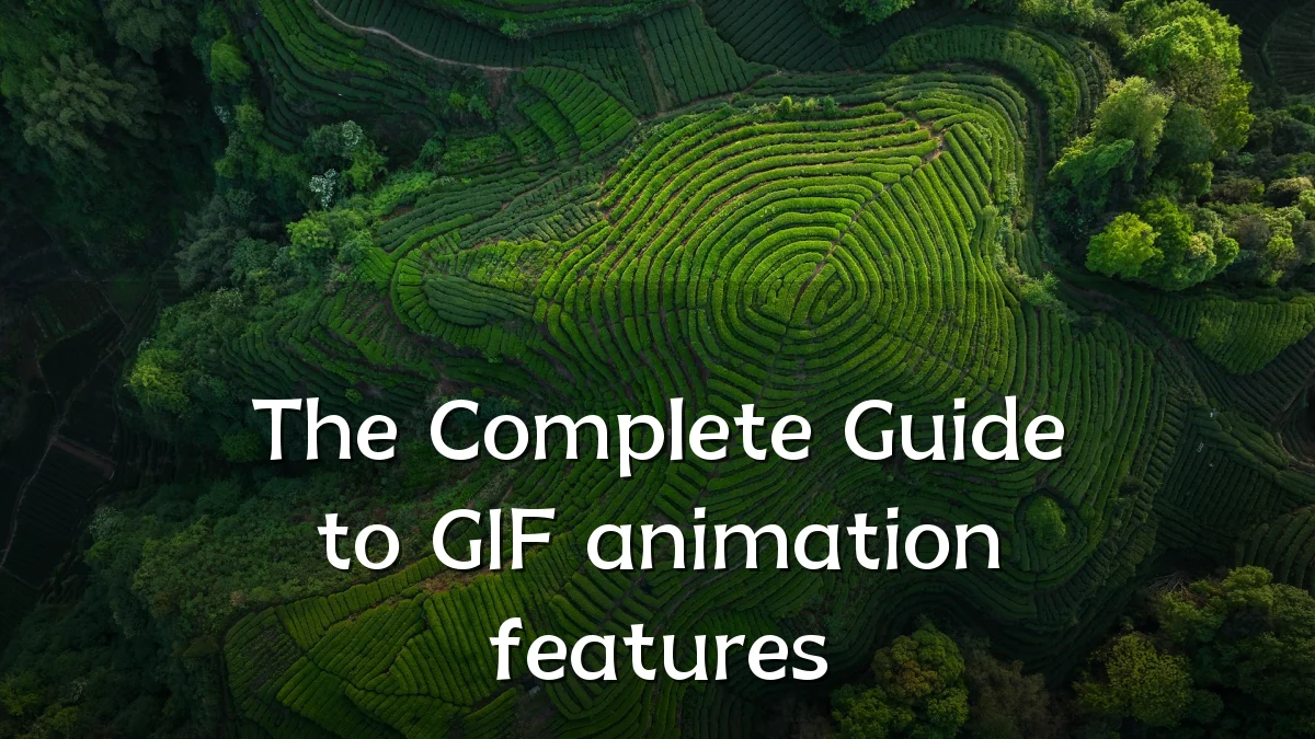The Complete Guide to GIF animation features