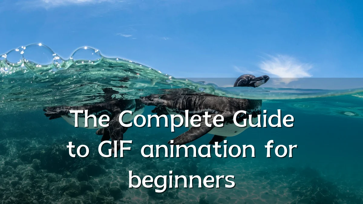 The Complete Guide to GIF animation for beginners