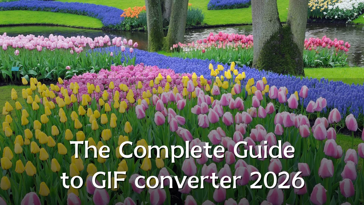 The Complete Guide to GIF converter 2026