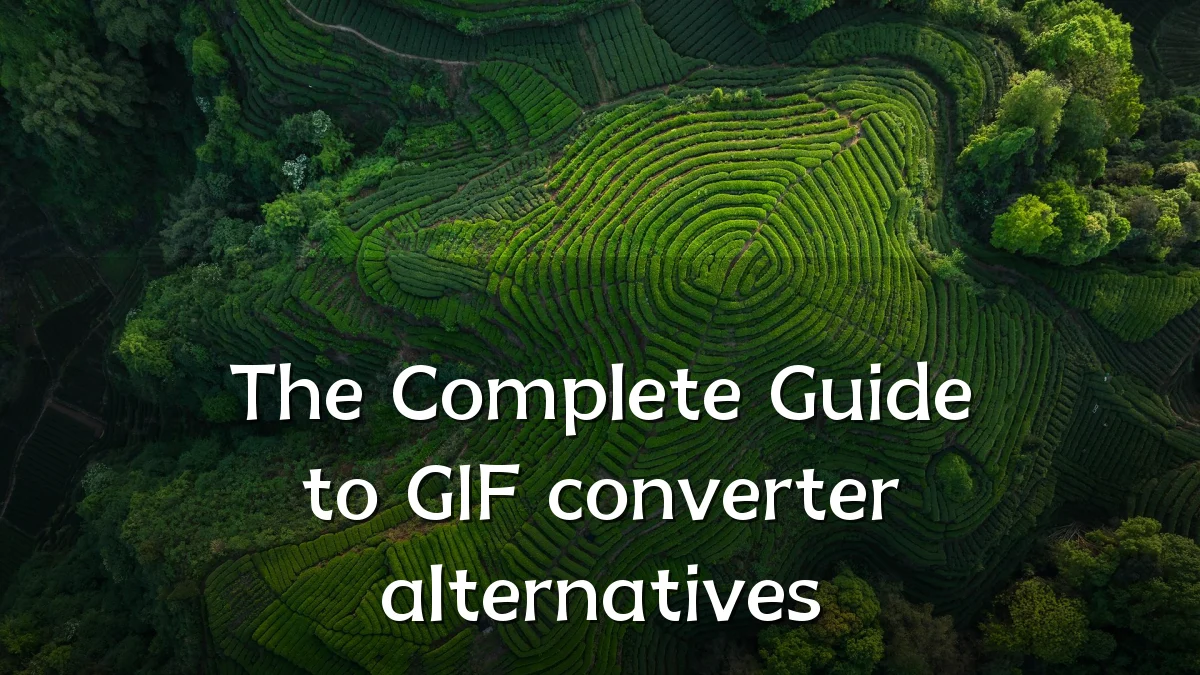 The Complete Guide to GIF converter alternatives