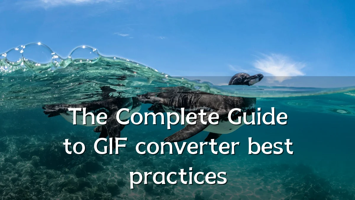 The Complete Guide to GIF converter best practices