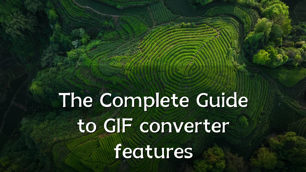 The Complete Guide to GIF converter features