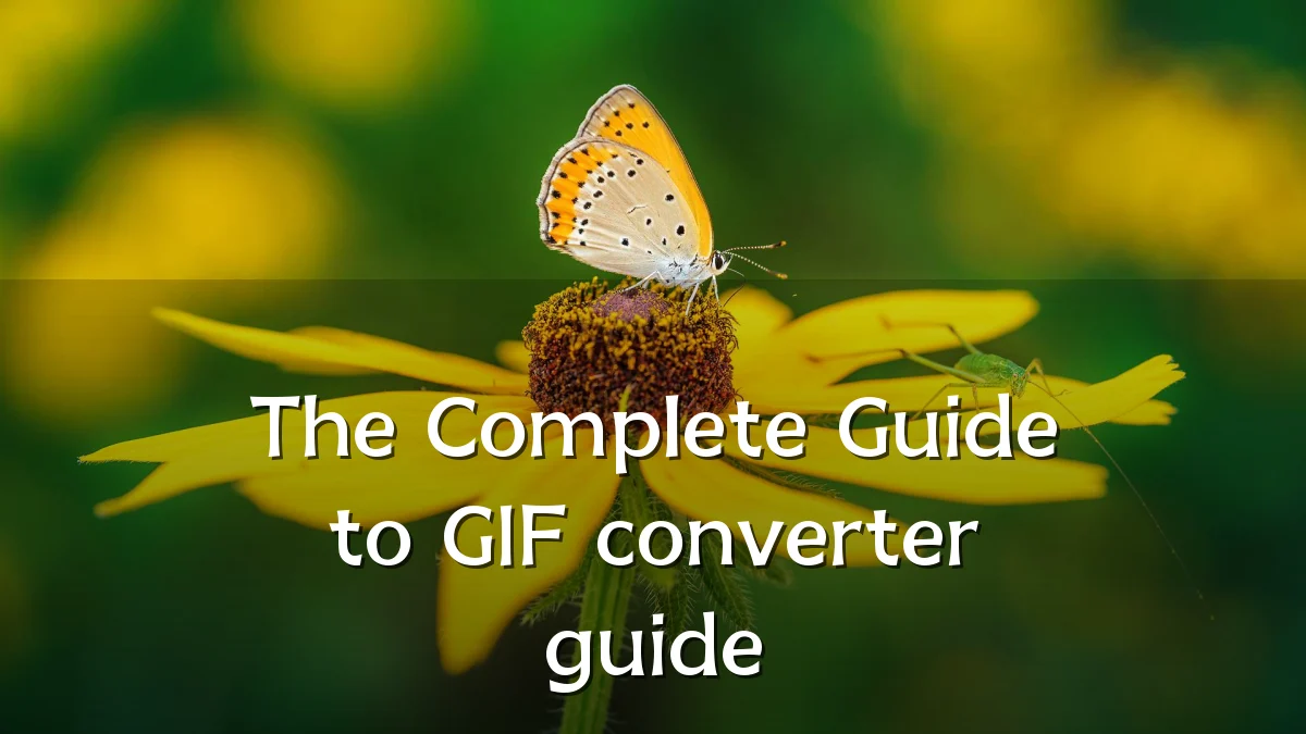 The Complete Guide to GIF converter guide