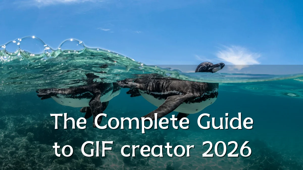 The Complete Guide to GIF creator 2026