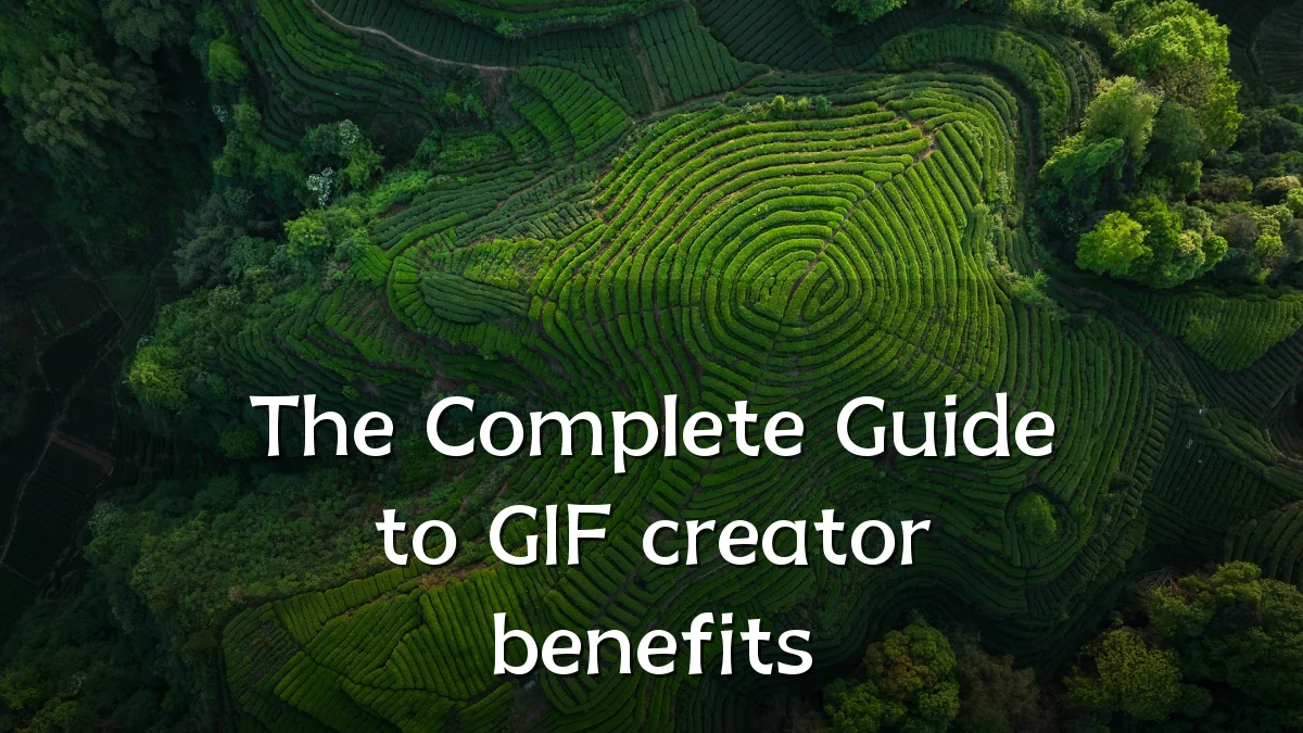 The Complete Guide to GIF creator benefits