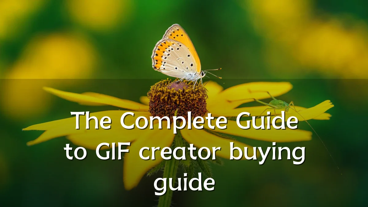 The Complete Guide to GIF creator buying guide