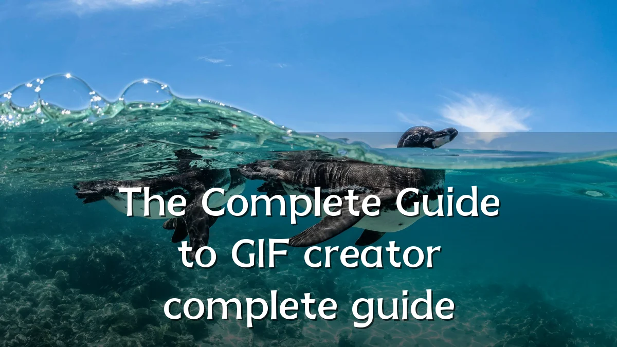 The Complete Guide to GIF creator complete guide