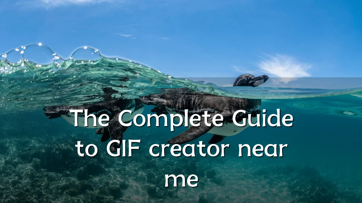The Complete Guide to GIF creator near me