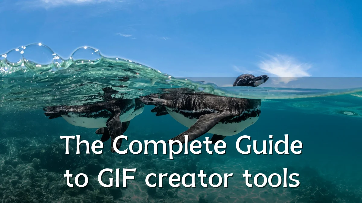 The Complete Guide to GIF creator tools
