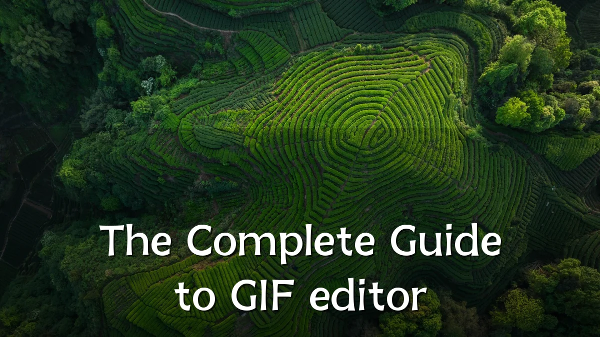 The Complete Guide to GIF editor
