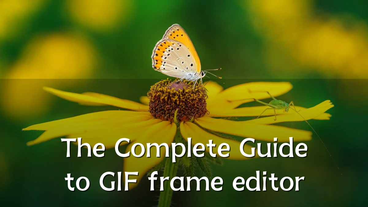 The Complete Guide to GIF frame editor