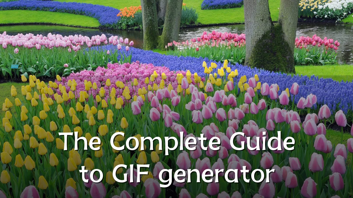 The Complete Guide to GIF generator
