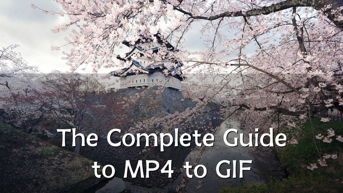 The Complete Guide to MP4 to GIF