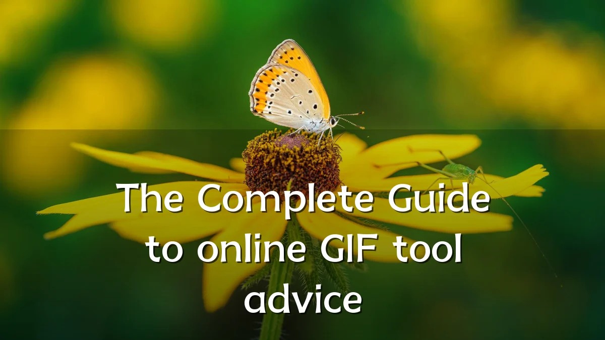The Complete Guide to online GIF tool advice