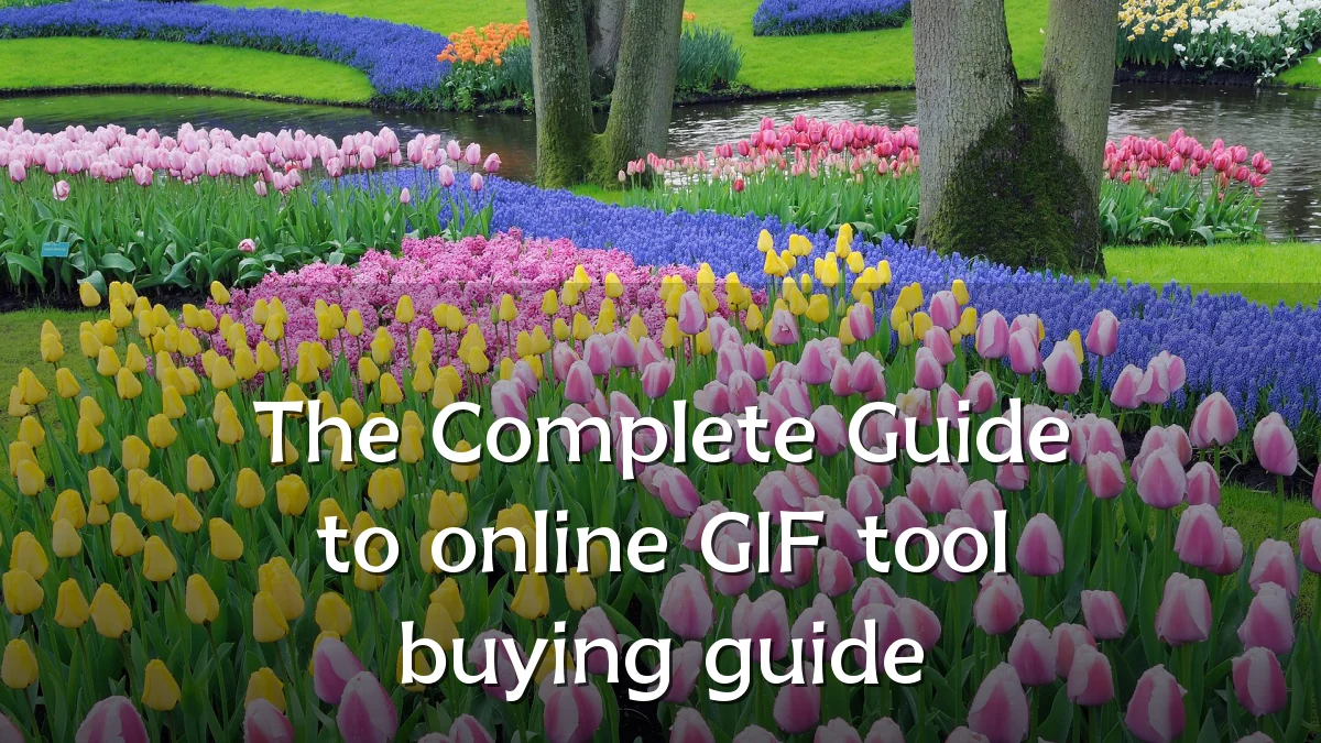 The Complete Guide to online GIF tool buying guide