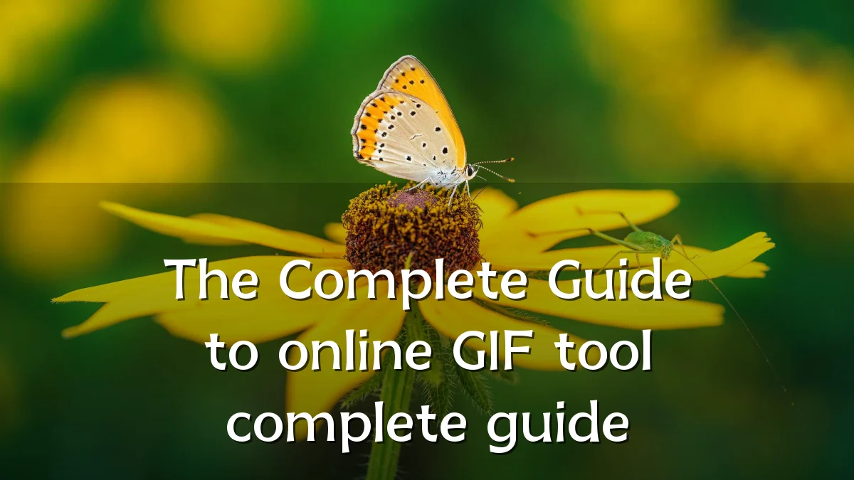 The Complete Guide to online GIF tool complete guide