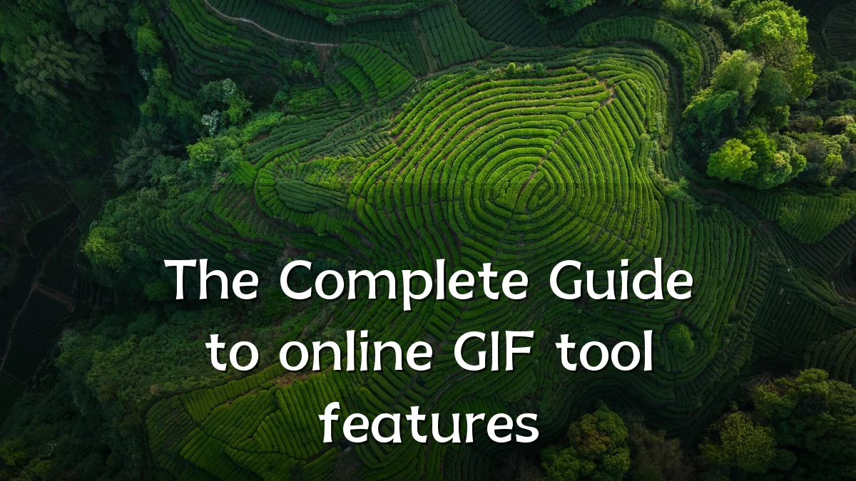 The Complete Guide to online GIF tool features