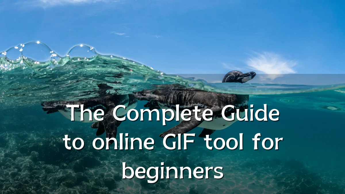 The Complete Guide to online GIF tool for beginners