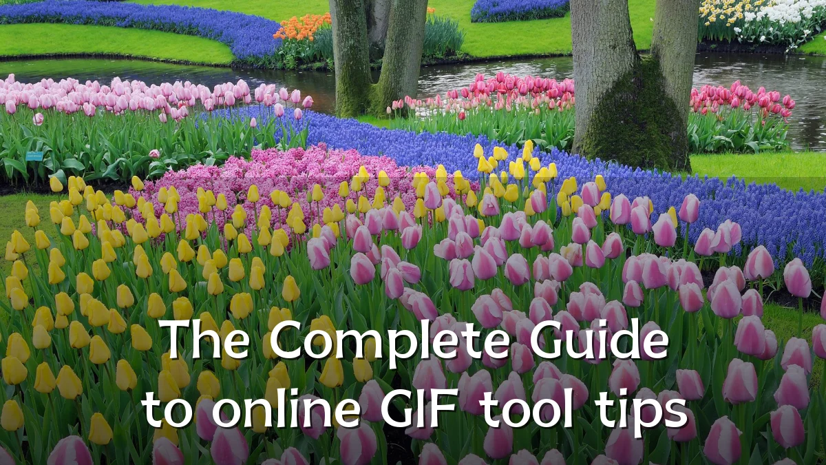 The Complete Guide to online GIF tool tips