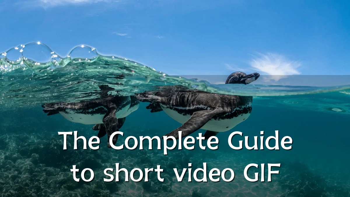 The Complete Guide to short video GIF