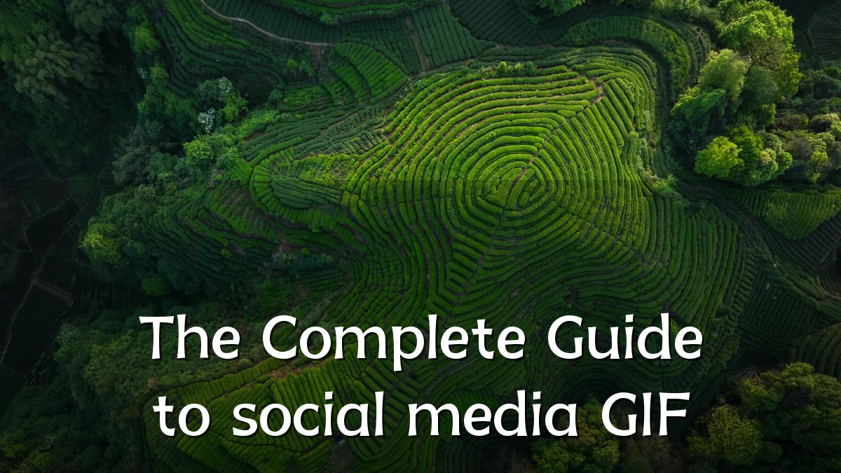 The Complete Guide to social media GIF