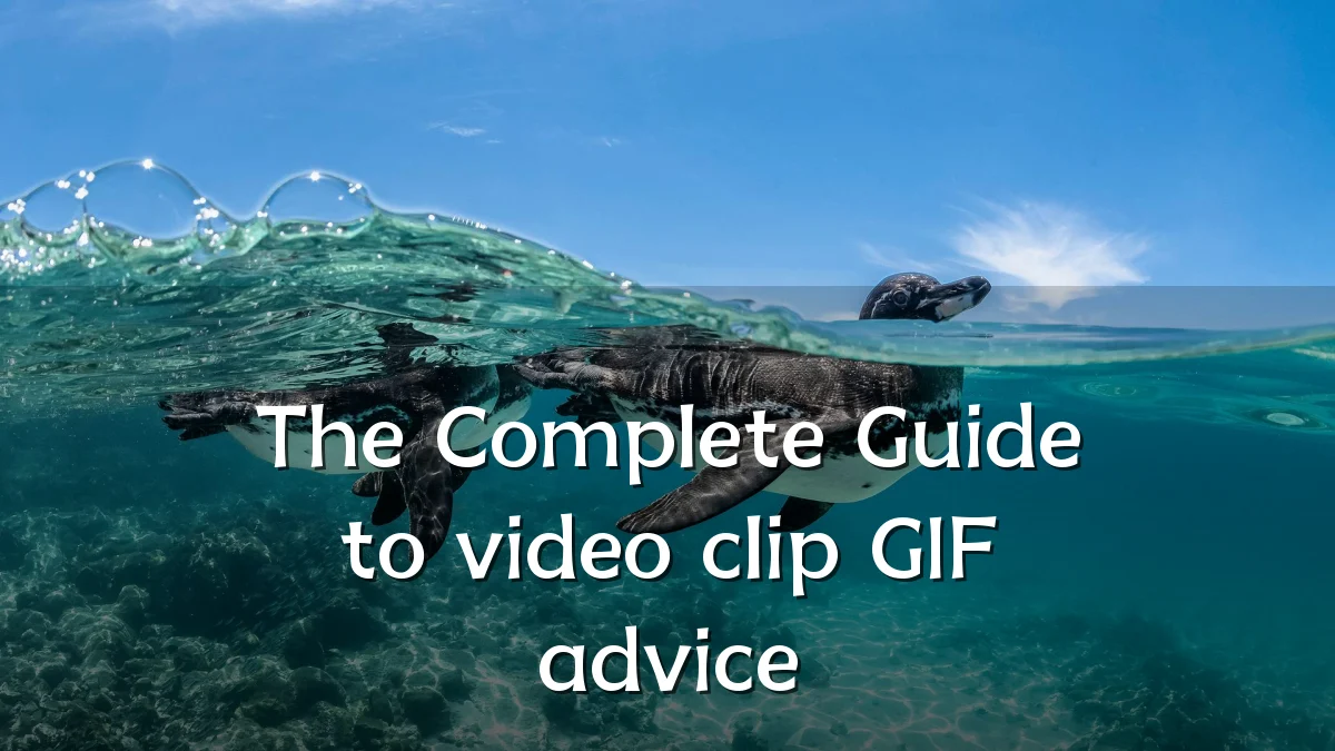 The Complete Guide to video clip GIF advice