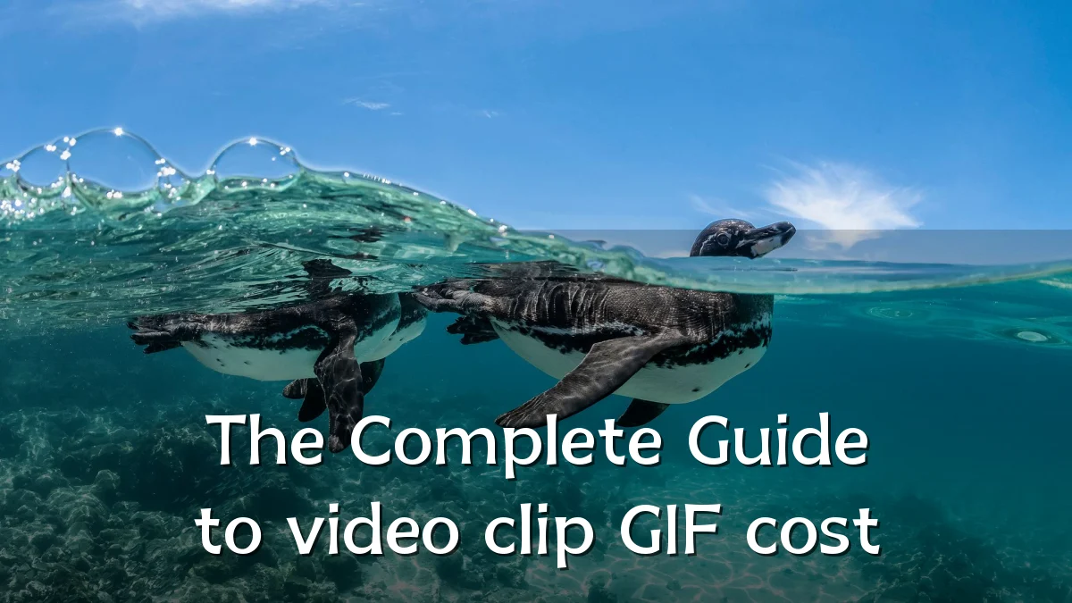 The Complete Guide to video clip GIF cost