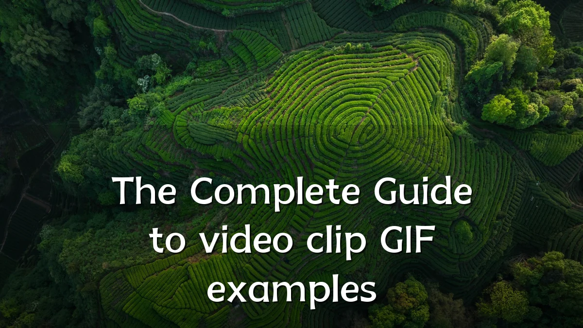 The Complete Guide to video clip GIF examples