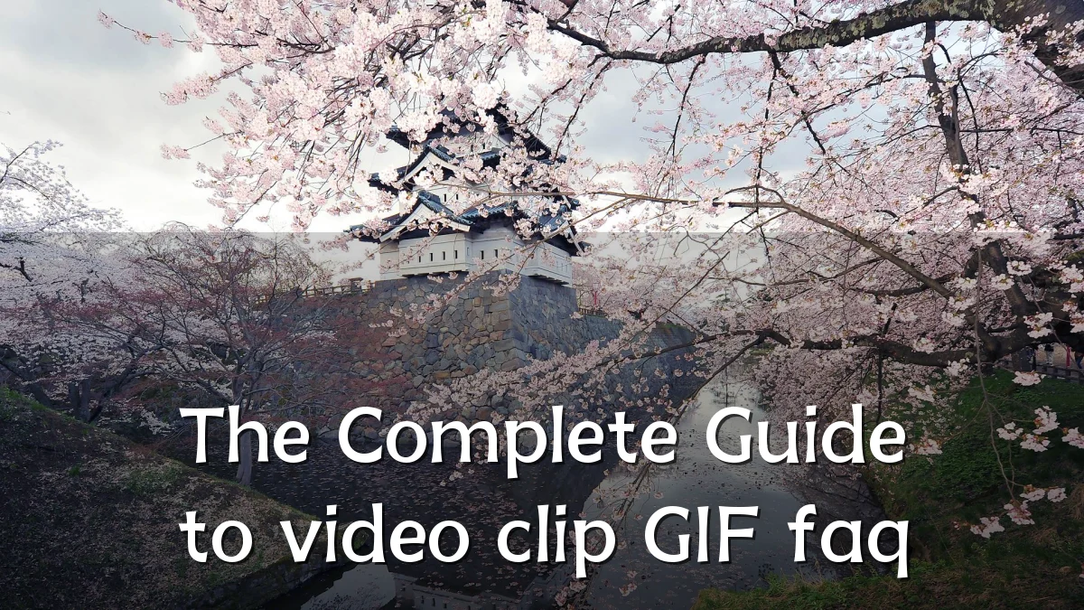 The Complete Guide to video clip GIF faq