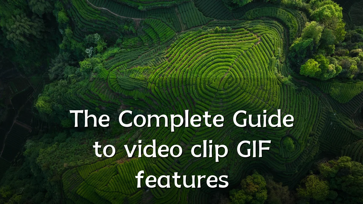 The Complete Guide to video clip GIF features