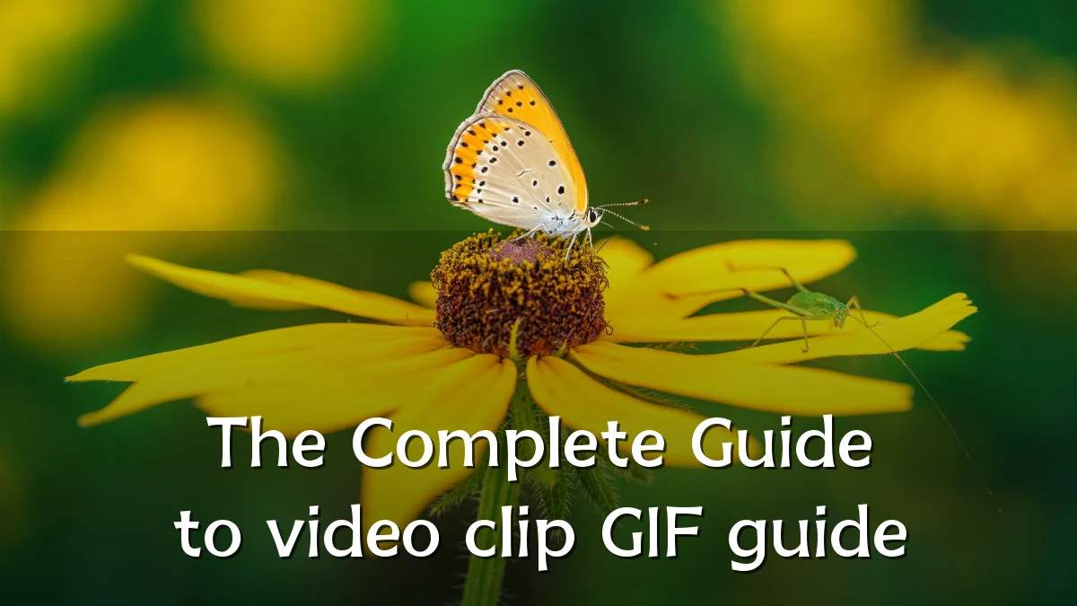 The Complete Guide to video clip GIF guide