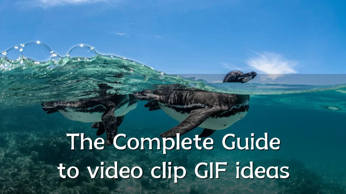 The Complete Guide to video clip GIF ideas